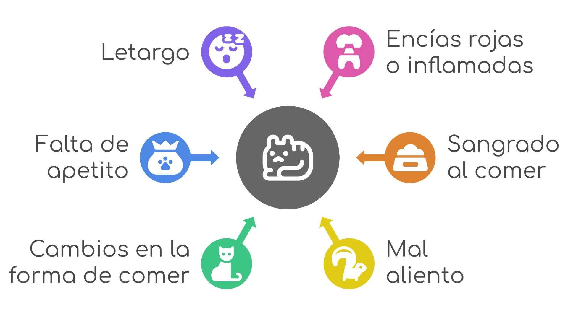 sintomas gingivitis en gatos